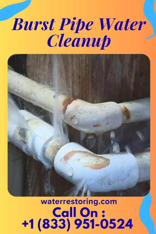Burst Pipe Water Cleanup in Douglas, WY