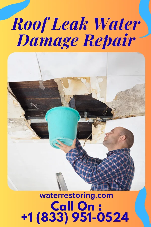Roof Leak Water Damage Repair in Douglas, WY