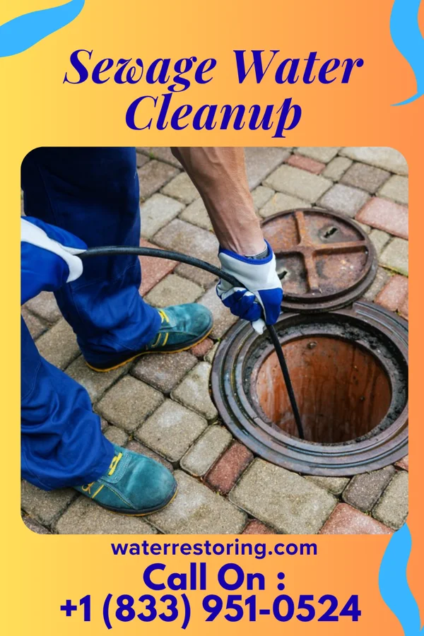 Sewage Water Cleanup in Douglas, WY